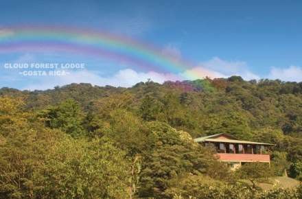 Monteverde Cloud Forest Lodge San José Buitenkant foto
